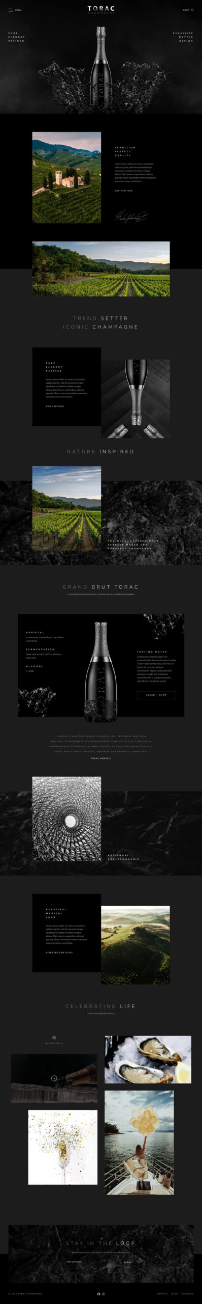 01 Torac Homepage scaled